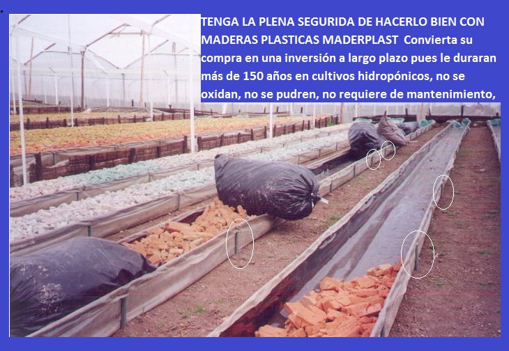 hidroponía cultivo hidropónico en el piso o elevado en niveles con plásticos maderplast surcos tutores hidropónicos bandejas camas recipientes manual de cultivo hidropónico bandejas elevadas 03 hidroponía cultivo hidropónico en el piso o elevado en niveles con plásticos maderplast surcos tutores hidropónicos bandejas camas recipientes manual de cultivo hidropónico bandejas elevadas 03 hidroponía cultivo hidropónico en el piso o elevado en niveles con plásticos maderplast surcos tutores hidropónicos bandejas camas recipientes manual de cultivo hidropónico bandejas elevadas 03